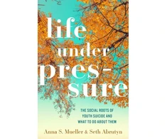 KNYGA Anna S Mueller Life under Pressure