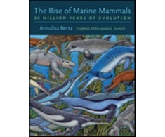KNYGA Annalisa Berta Rise of Marine Mammals