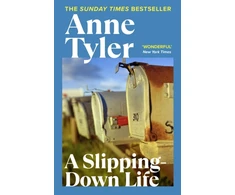 KNYGA Anne Tyler Slipping Down Life