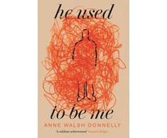 KNYGA Anne Walsh Donnelly He Used to Be Me
