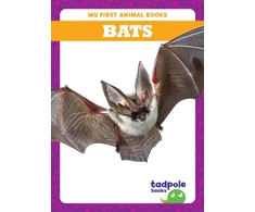 KNYGA Anthony Bats