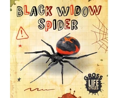 KNYGA Anthony William Juodas Widow Spider