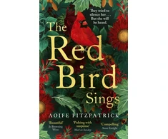 KNYGA Aoife Fitzpatrick Raudona Bird Sings