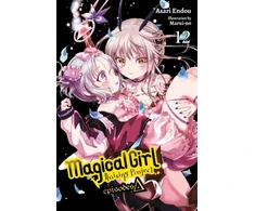 KNYGA Asari Endou Magical Girl Raising Project, Vol. 12 (light novel)
