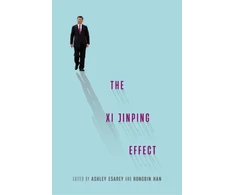 KNYGA Ashley Esarey Xi Jinping Effect