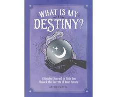 KNYGA Astrid Carvel What is My Destiny?