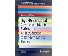 KNYGA Aygul Zagidullina High-Dimensional Covariance Matrix Estimation