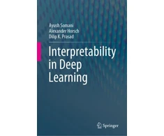 KNYGA Ayush Somani Interpretability in Deep Learning