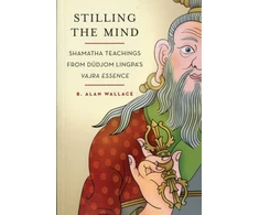 KNYGA B Alan Wallace Stilling the Mind