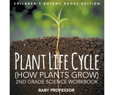 KNYGA Baby Professor Plant Life Cycle (How Plants Grow)