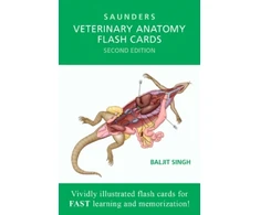 KNYGA Baljit Singh Veterinary Anatomy Flash Cards