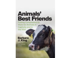 KNYGA Barbara J King Animals' Best Friends