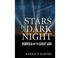 KNYGA Barrie S Barnes Stars in a Dark Night