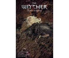 KNYGA Bartosz Sztybor Witcher Volume 5: Fading Memories