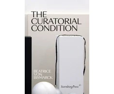 KNYGA Beatrice Von Bismarck Curatorial Condition
