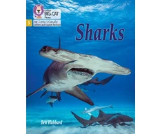 KNYGA Ben Hubbard Sharks