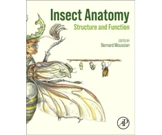 KNYGA Bernard Moussian Insect Anatomy