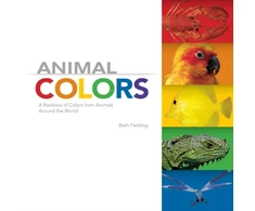 KNYGA Beth Fielding Animal Colors