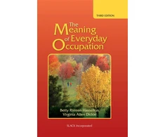 KNYGA Betty Risteen Hasselkus Meaning of Everyday Occupation