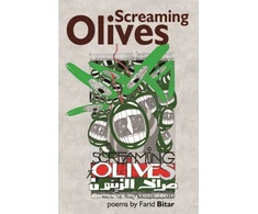 KNYGA Bitar Screaming Olives