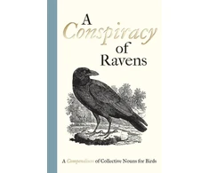 KNYGA Bodleian Library Staff Conspiracy of Ravens