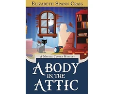 KNYGA Bookshop Body in the Attic