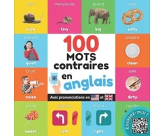 KNYGA Yukibooks 100 mots opposes en anglais