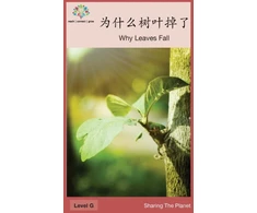 KNYGA Bookshop 为什么树叶掉了