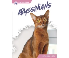 KNYGA Bookshop Abyssinians