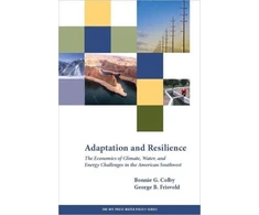 KNYGA Bookshop Adaptation and Resilience