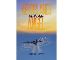 KNYGA Bookshop Aeroplanes and an Angel
