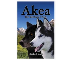 KNYGA Bookshop Akea - His Mother's Son