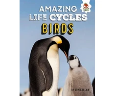 KNYGA Bookshop Amazing Life Cycles-Birds