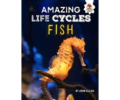 KNYGA Bookshop Amazing Life Cycles- Fish