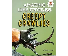 KNYGA Bookshop Amazing Life Cycles-Minibeasts