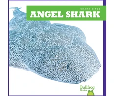 KNYGA Bookshop Angel Shark