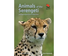 KNYGA Bookshop Animals of the Serengeti