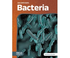 KNYGA Bookshop Bacteria