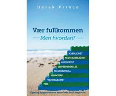 KNYGA Bookshop Be Perfect - But How? (Norwegian)