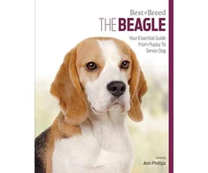 KNYGA Bookshop Beagle