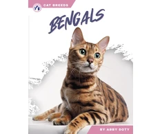 KNYGA Bookshop Bengals