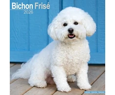 KNYGA Bookshop Bichon Frise Calendar 2026 Square Dog Breed Wall Calendar - 16 Month