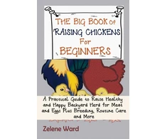 KNYGA Bookshop Big Book of Raising Chickens for Beginners