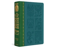 KNYGA Bookshop Biggest Story Bible Storybook (TruTone)