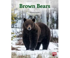 KNYGA Bookshop BROWN BEARS