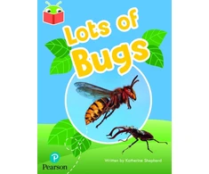KNYGA Bookshop Bug Club Independent Phase 2 Unit 5: Lots of Bugs
