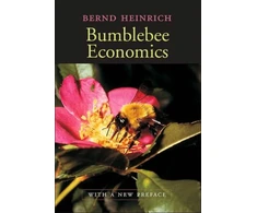 KNYGA Bookshop Bumblebee Economics