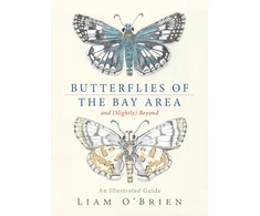 KNYGA Bookshop Butterflies of the Bay Area and (Slightly) Beyond