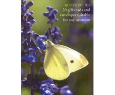 KNYGA Bookshop Butterfly Large Card Box