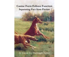 KNYGA Bookshop Canine Form Follows Function